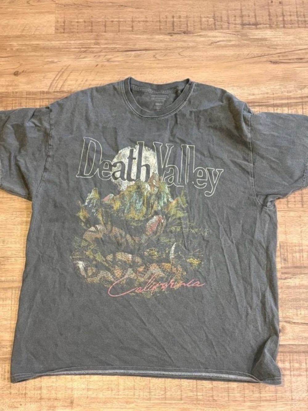 Urban Outfitters Death Valley Graphic Tee - Gray